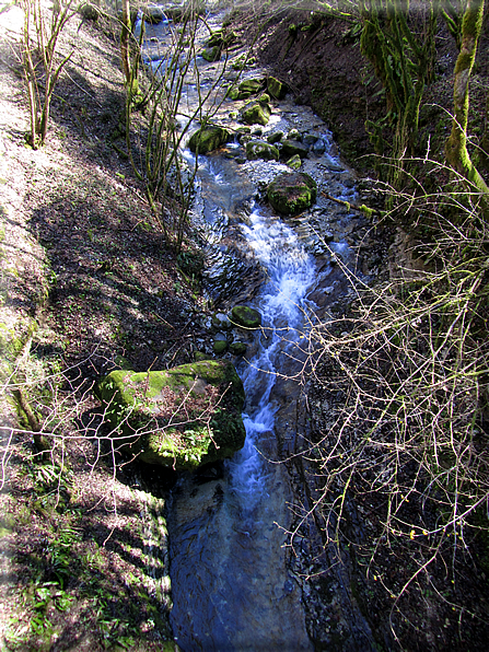 foto Val Carazzagno